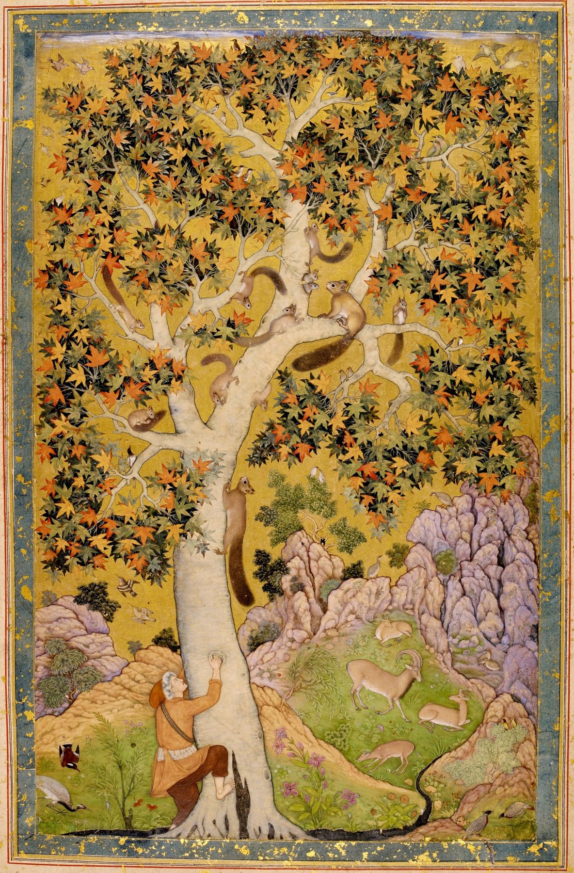 Squirrels in a Chinar Tree, Abu'l Hasan